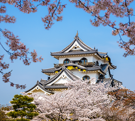 企業建站的市場空間很大